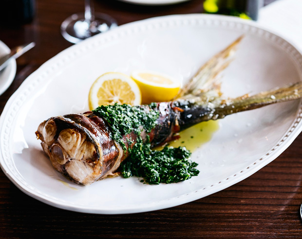 MT0416Fish23