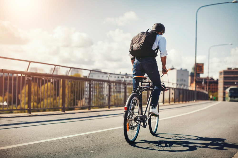 cycling-auckland