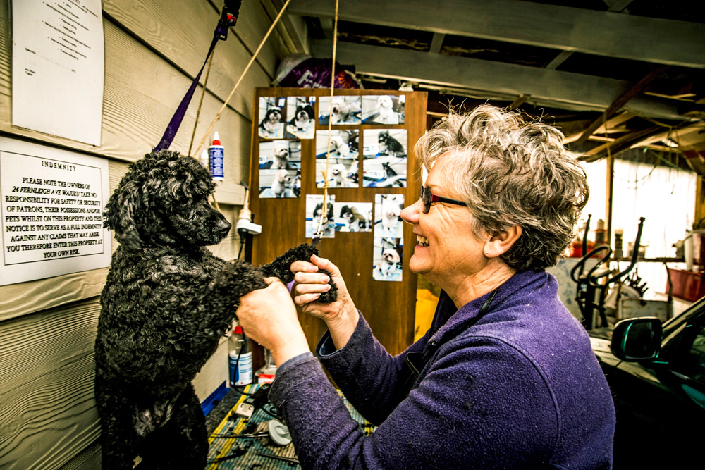 Dog groomer Janet Ellery