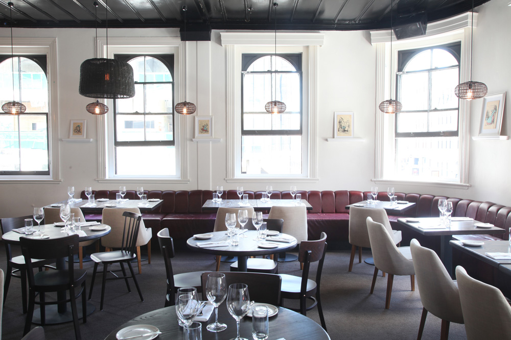 The White Rabbit, Auckland