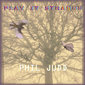 Phil Judd Play It Strange