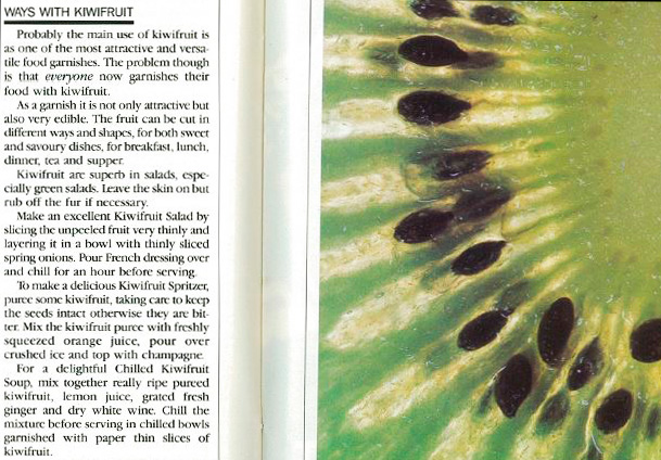 Taken from the June 1985 issue of Metro.