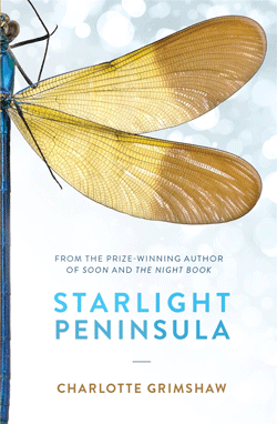 Starlight