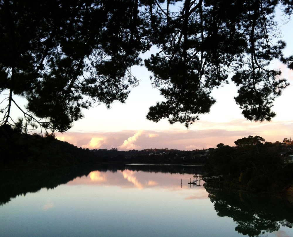 Beach Haven estuary