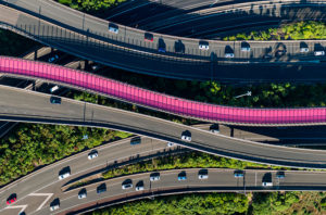 NZ Geo photographer of the year