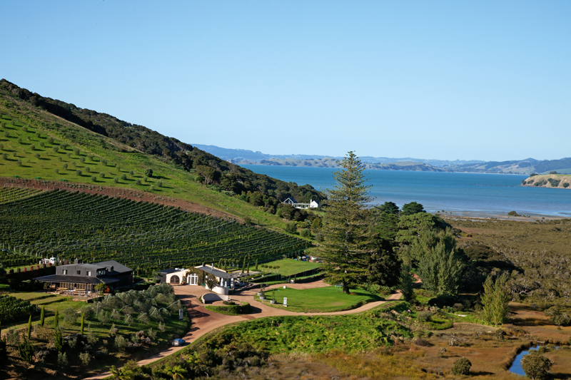 Poderi Crisci winery and restaurant, Waiheke, Auckland