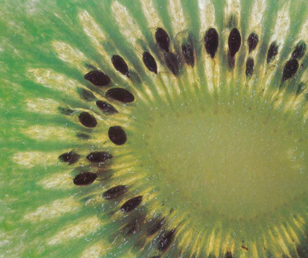 ways-with-kiwi