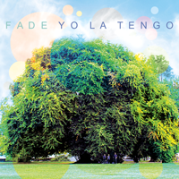 YLT-fade