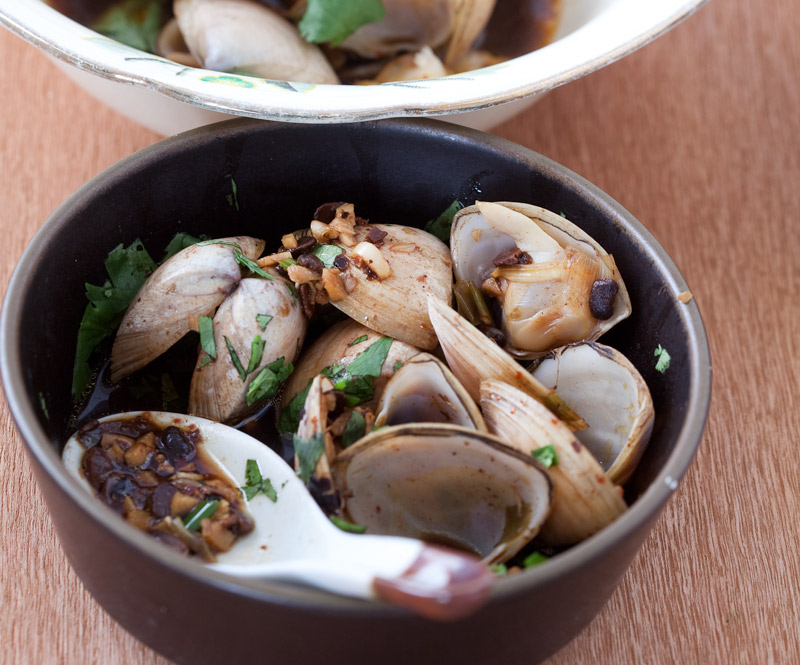 MT1113_Clams_6080