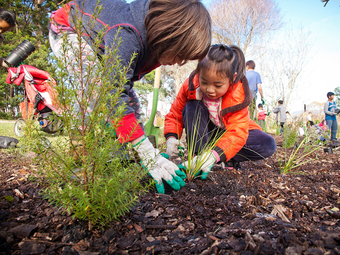 Green Shoots: The Aucklanders planting the seeds of kaitiakitanga