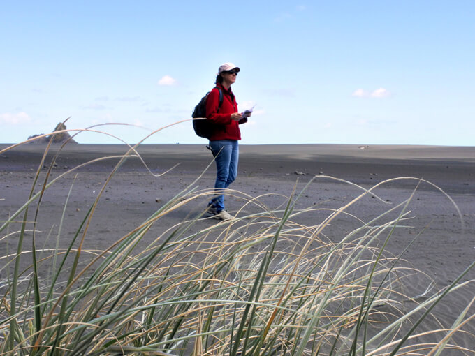 There are lots of great places to explore just a short drive from Auckland. Photo: Getty