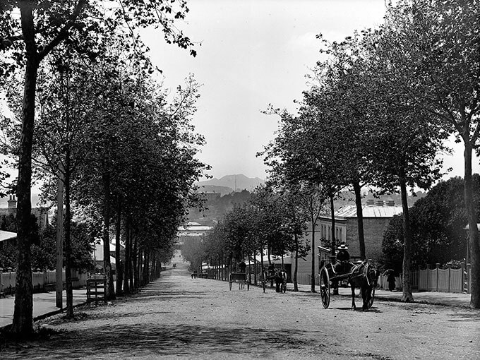 Greys Ave: What central Auckland's oldest thoroughfare tells us about our city
