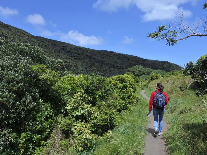 Ten walks to do in Tamaki Makaurau that aren’t in the Waitakere Ranges