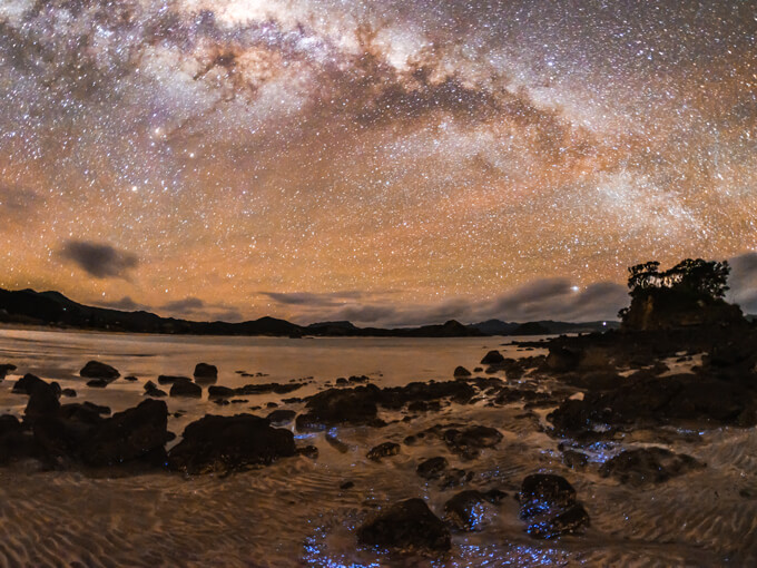 Get yourself to Great Barrier Island for a night under the stars