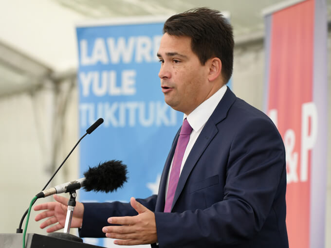 Prime Minister Simon Bridges? It's possible, but is it plausible?