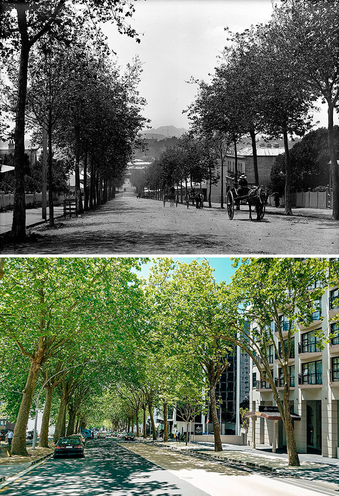 Greys Ave: What central Auckland's oldest thoroughfare tells us about our city