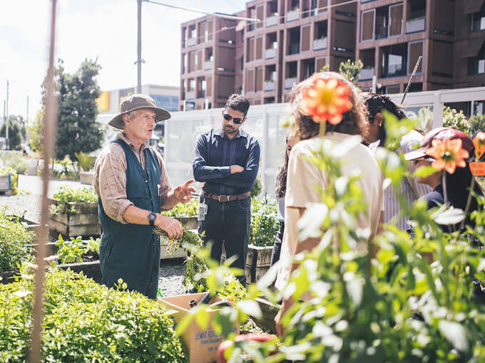 The Auckland composting collective trying to make the city waste free by 2040