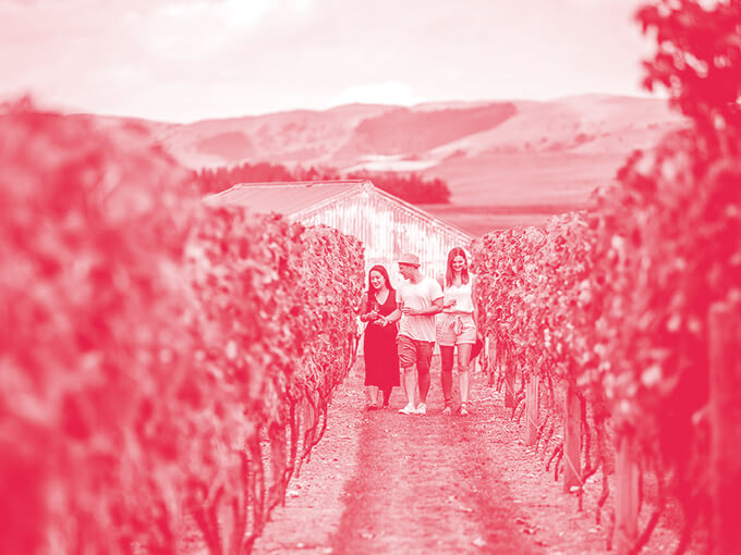 Cambridge Rd Winery.