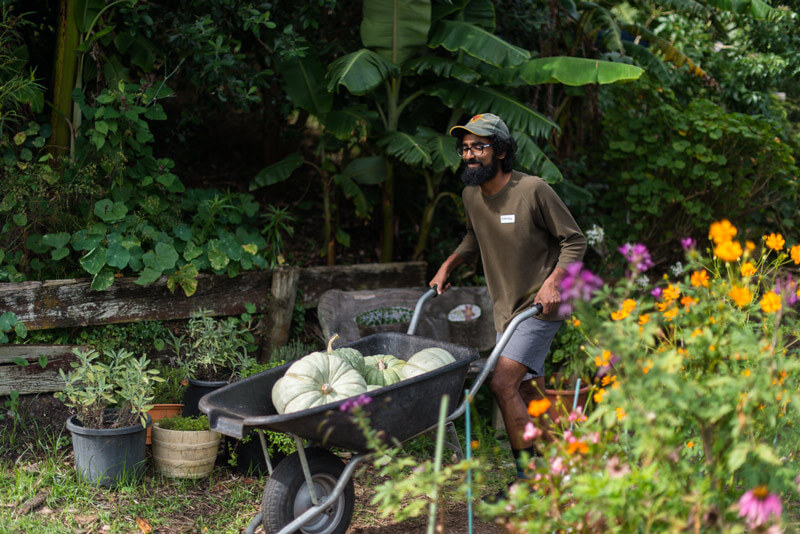 How these Auckland chefs define sustainable food