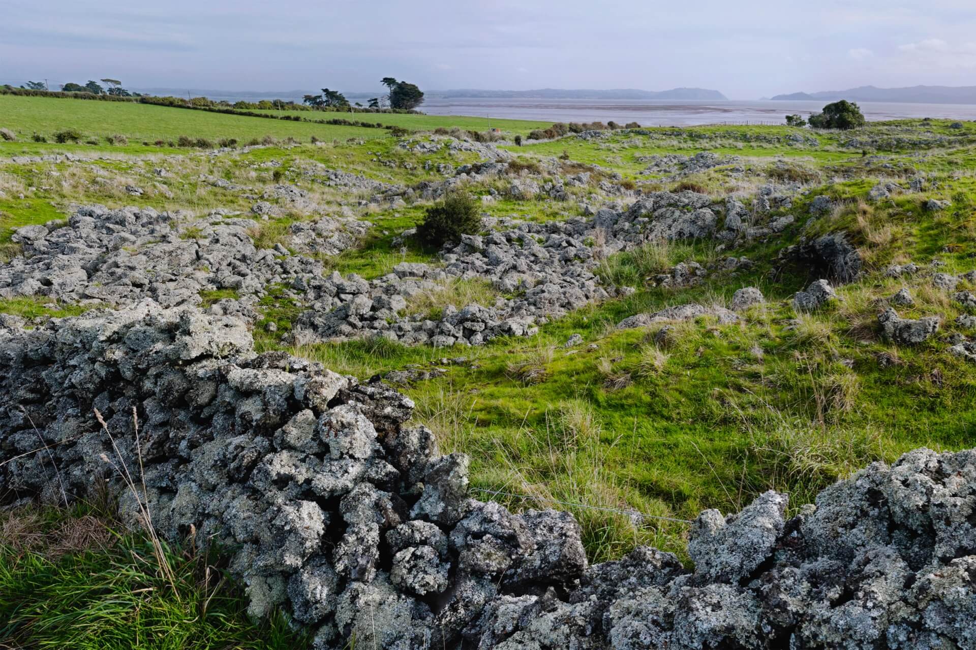 Book Review: SHIFTING GROUNDS — Deep Histories of Tāmaki Makaurau