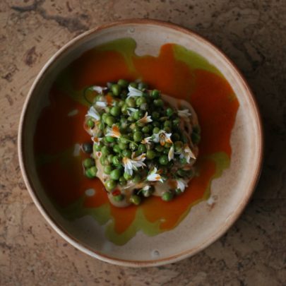 Forest — Through the Forest